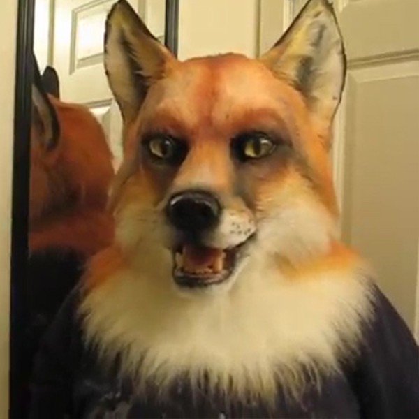 🐺WEREWOLF HEADWEAR COSTUME MASK🐺-50%OFF