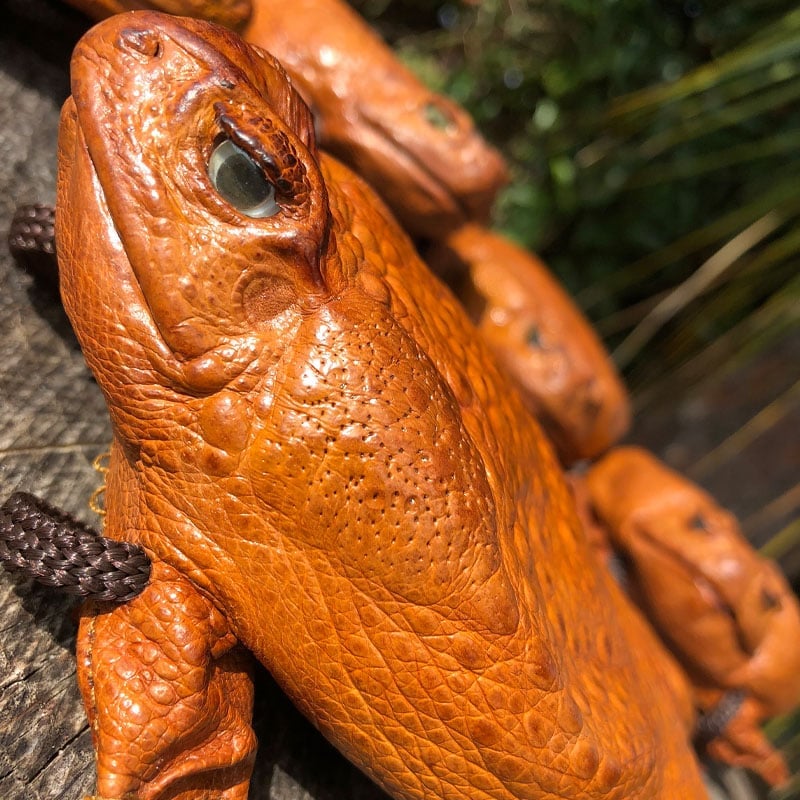 Sugar Cane Toad Full-body Funny Coin Purse