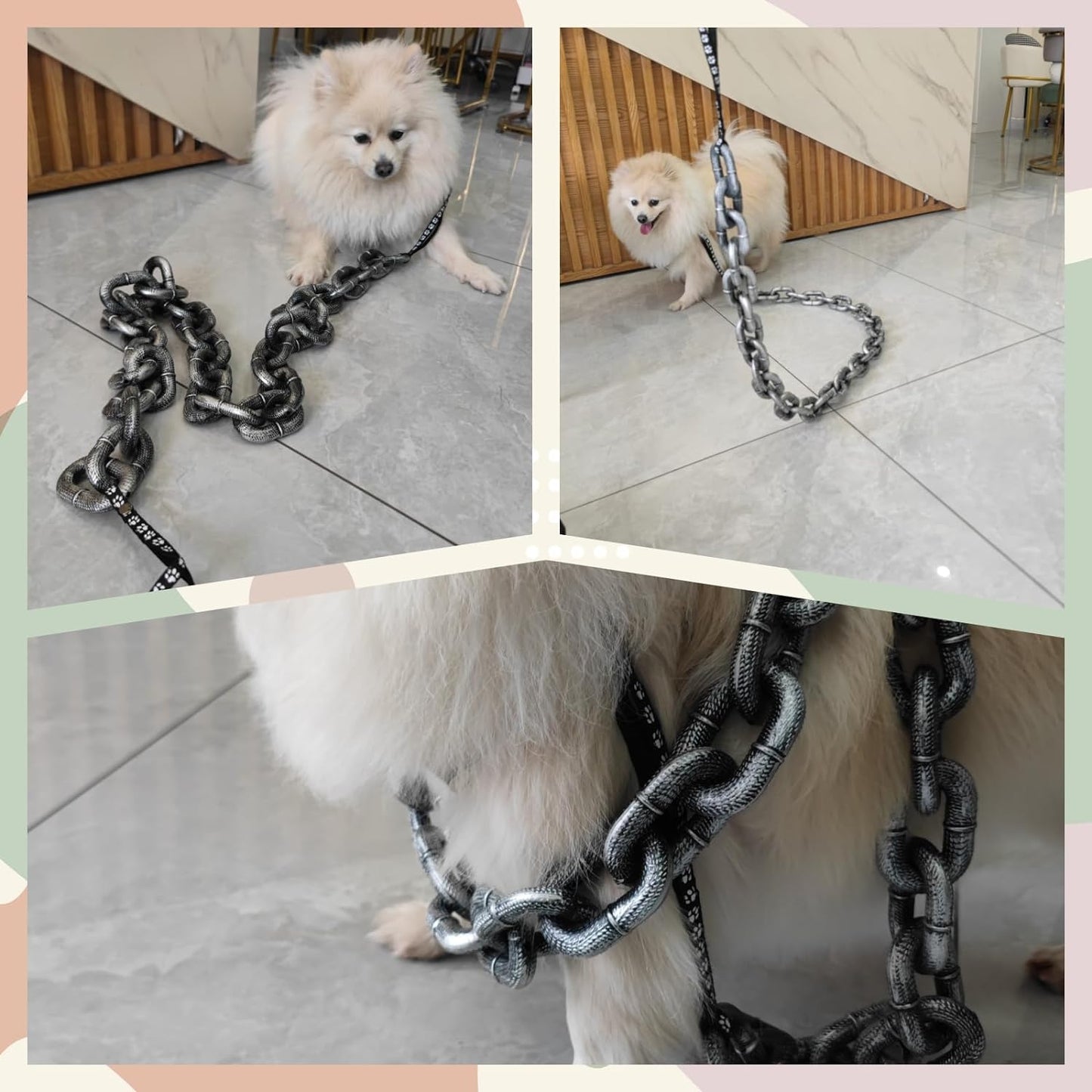 2024 Funniest Pet Chain