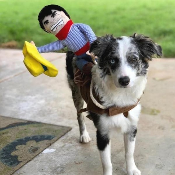 🎃 Halloween 2024 Hot Sale -The Cowboy Rider Dog Costume