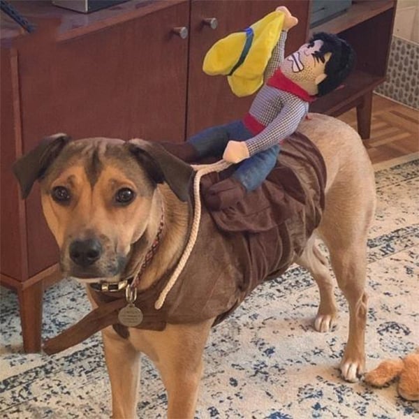 🎃 Halloween 2024 Hot Sale -The Cowboy Rider Dog Costume