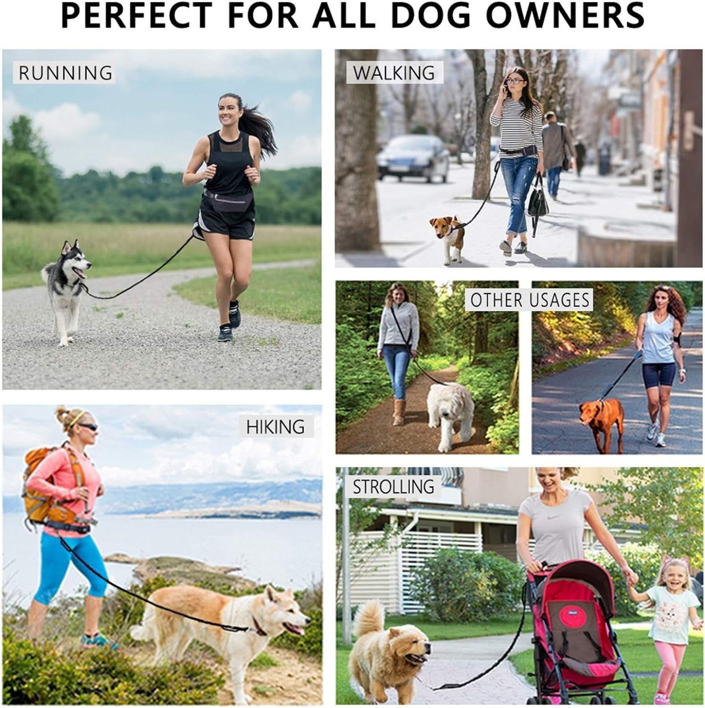 🔥Hands Free Dog Leash with Zipper Pouch