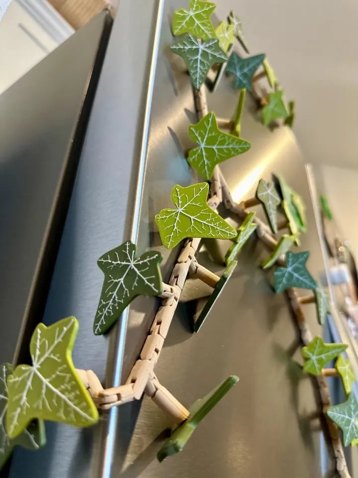 Ivy Fridge Magnets Vine