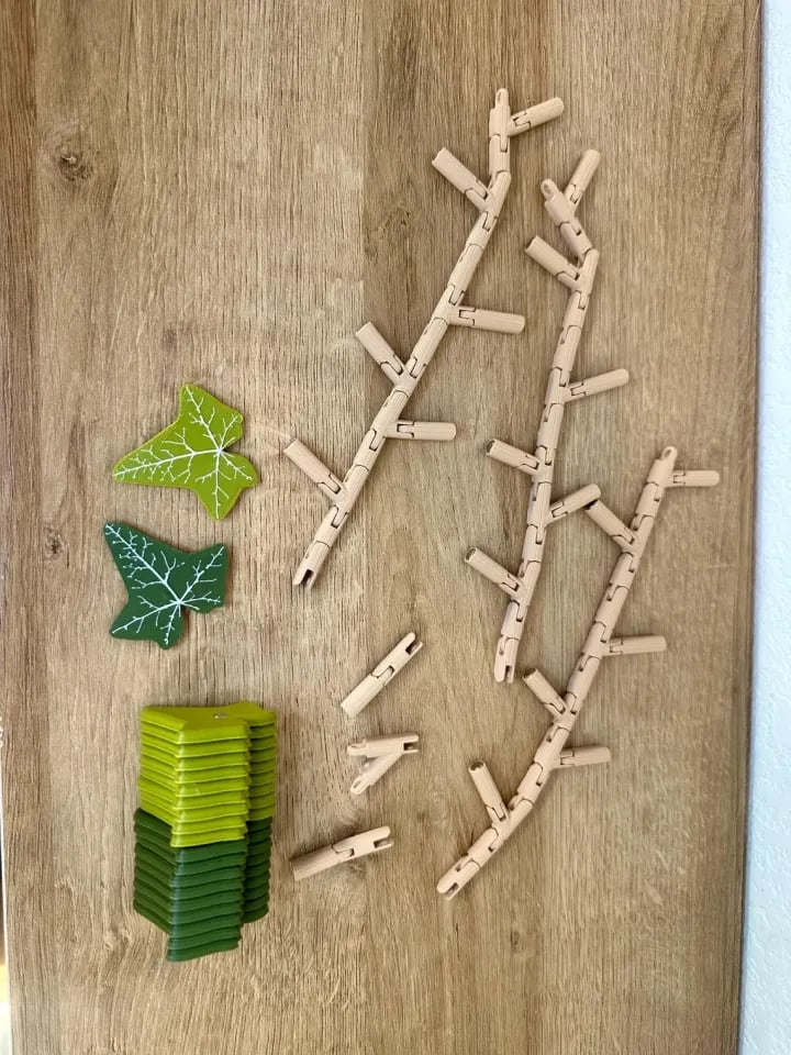 Ivy Fridge Magnets Vine