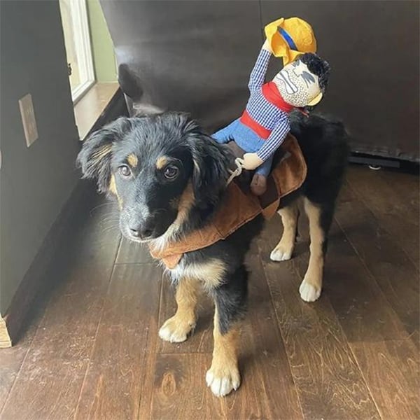 🎃 Halloween 2024 Hot Sale -The Cowboy Rider Dog Costume