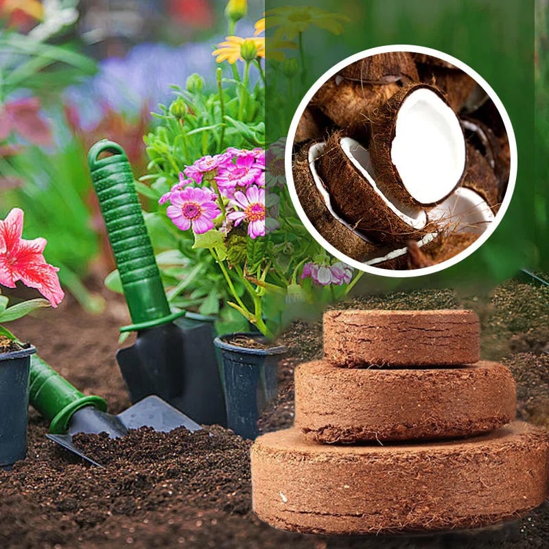 Premium Organic Coconut Coir Bricks for Plants