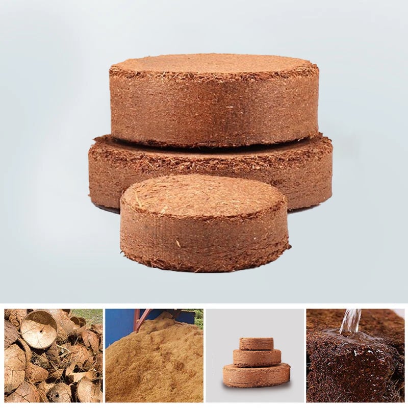 Premium Organic Coconut Coir Bricks for Plants