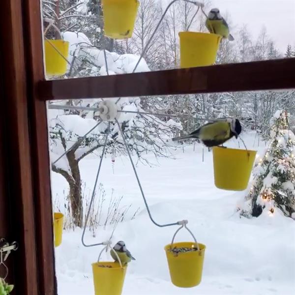 High Quality Super Hardness Ferris Wheel Bird Feeder🐦Birds can play in your garden all day