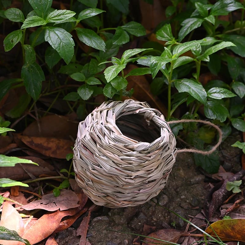 🐦Hummingbird Nest House