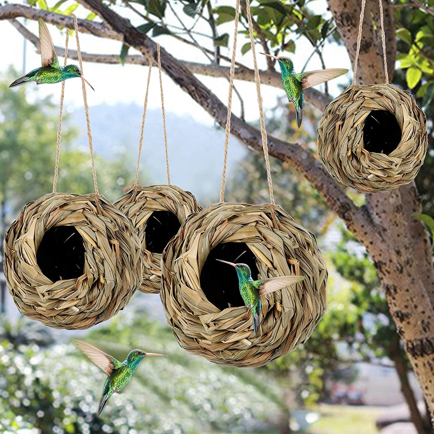 🐦Hummingbird Nest House