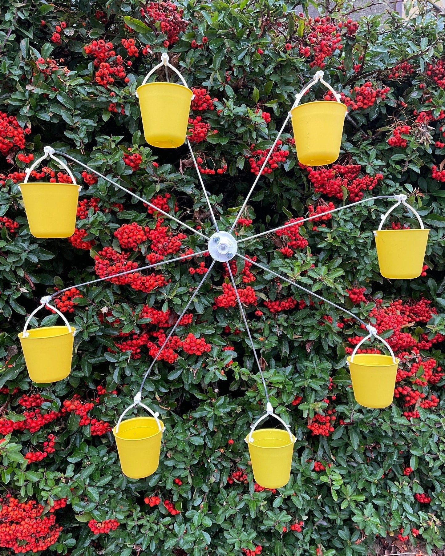 High Quality Super Hardness Ferris Wheel Bird Feeder🐦Birds can play in your garden all day