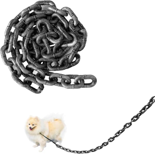 2024 Funniest Pet Chain