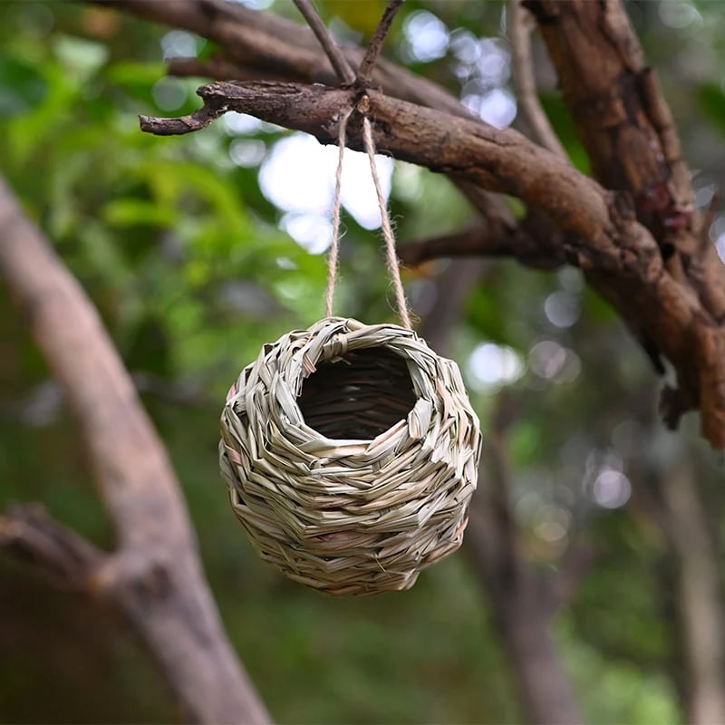 🐦Hummingbird Nest House