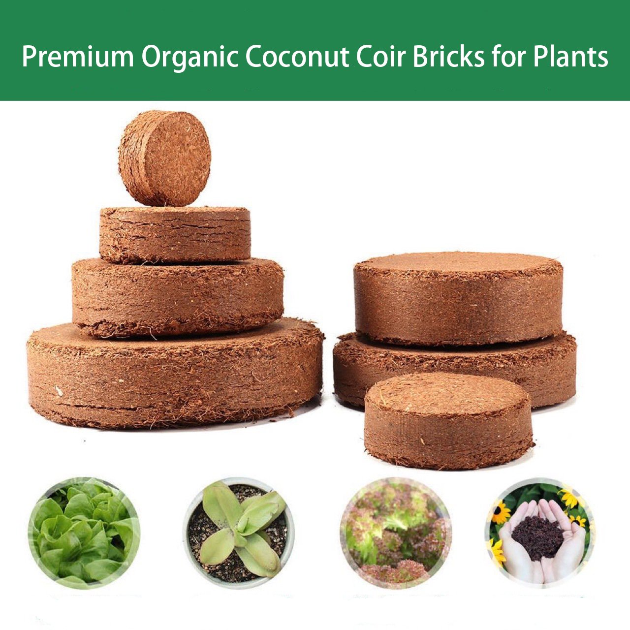 Premium Organic Coconut Coir Bricks for Plants