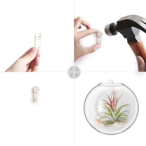 Hot Selling Now 🔥🔥Glass Oblate Globe Plants Containers Wall Mount Clear Flower Vase