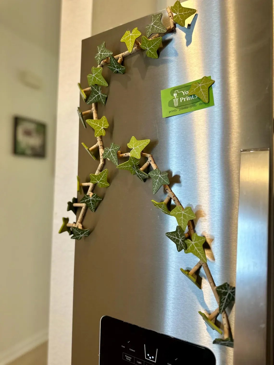 Ivy Fridge Magnets Vine