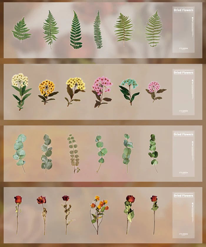 48 Pcs Big Size Dried Flowers Stickers Set