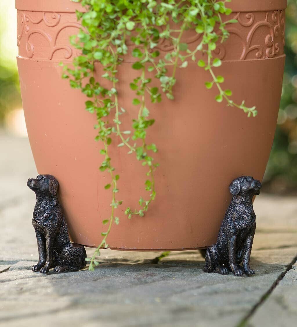 Potty Feet Plant Pot Feet