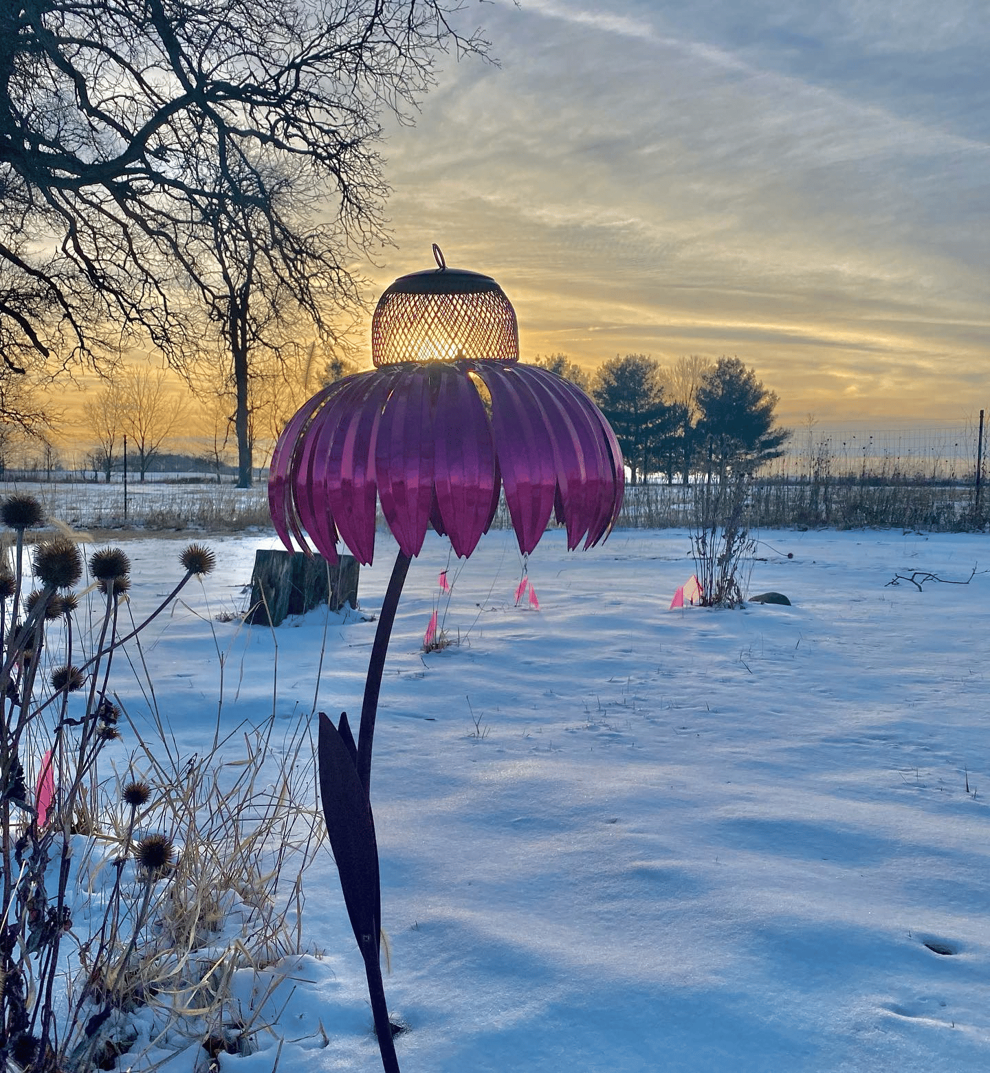 🔥Pink Coneflower Bird Feeder